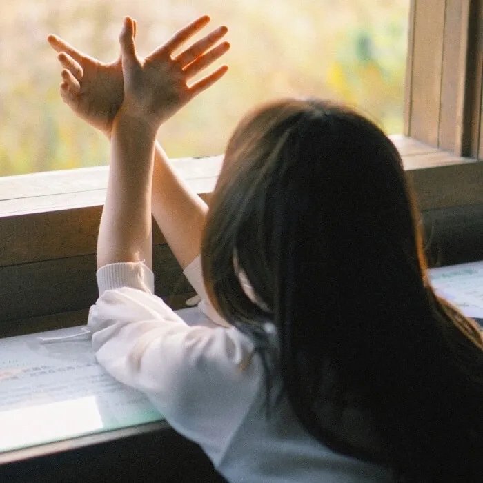 傻子夫人是大佬